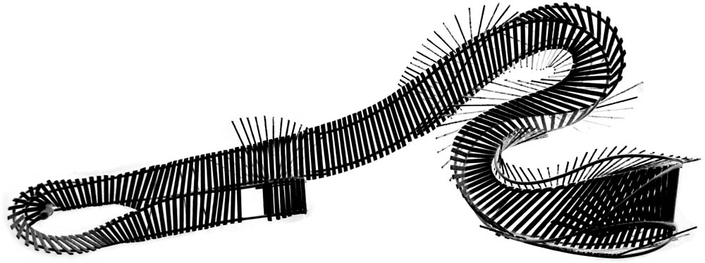 projetS2